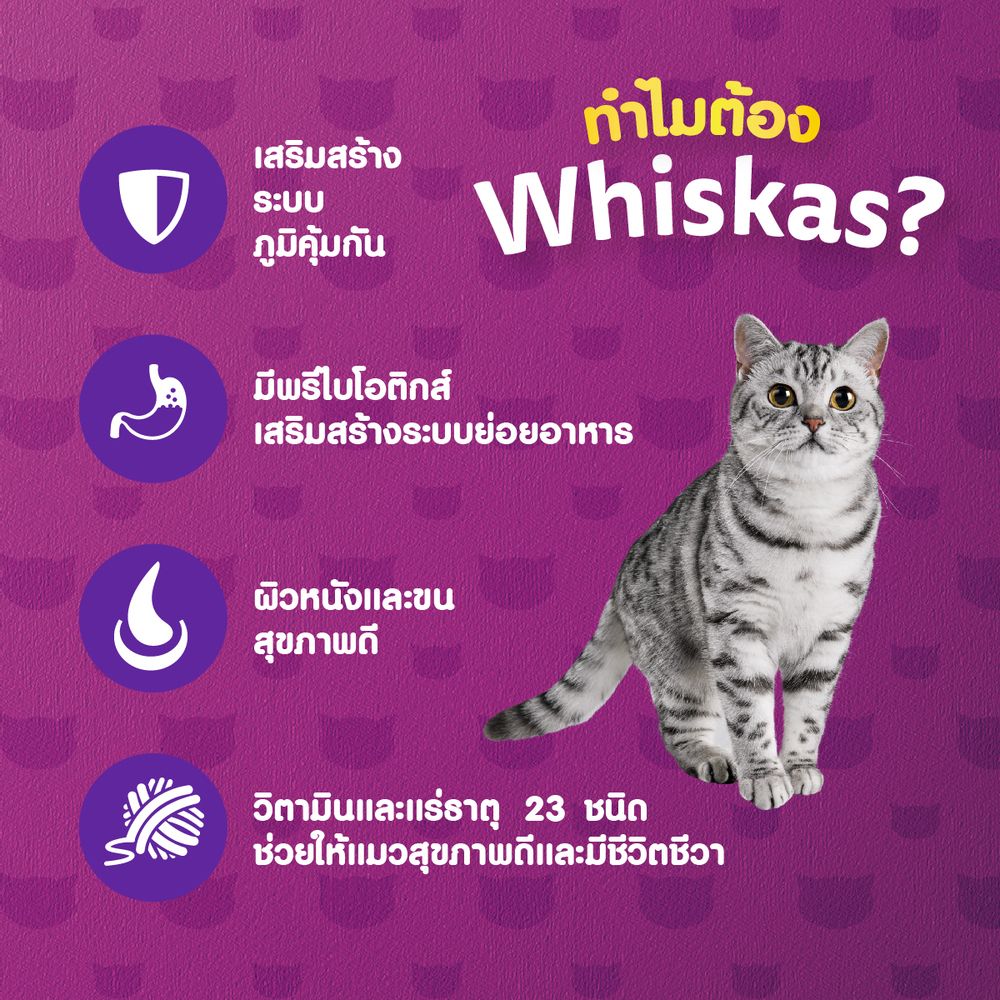 WHISKAS POCKET DRY CAT MACKERET 480 G.