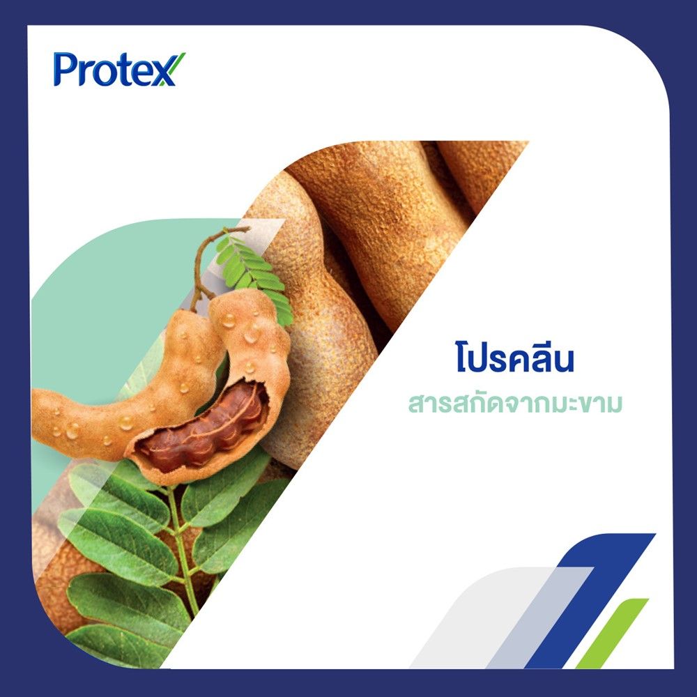 PROTEX SOAP PROCLEAN 60G.X4